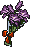 Winedrop bouquet