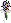 Poppy bouquet - BONDED